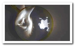 Hidden Camera on New Zealand